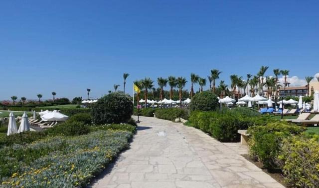 Sunset Seaview Studio Apartment Paphos Exterior photo